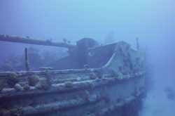 Going Under in Bermuda