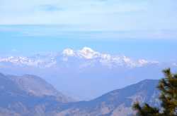 Going back to my roots…