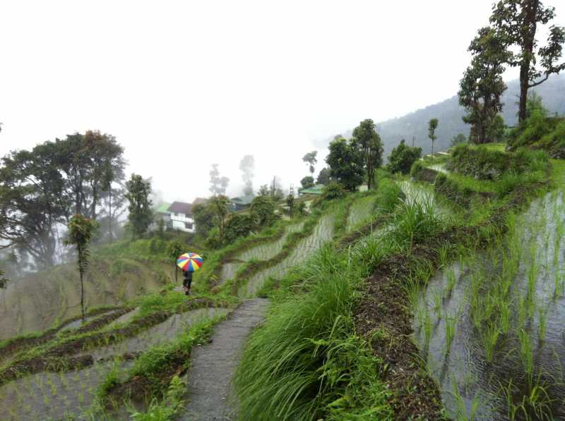 Going Off The Grid In Sikkim