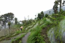 Going off the grid in Sikkim