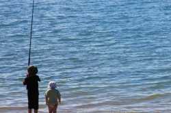 Golden Opportunities in Life