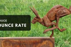 Golden method to Reduce Bounce Rate and increase User Engagement