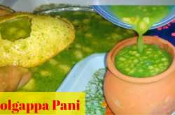 Golgappa Pani Recipe Step by Step | Pani Puri ka Pani | Quick