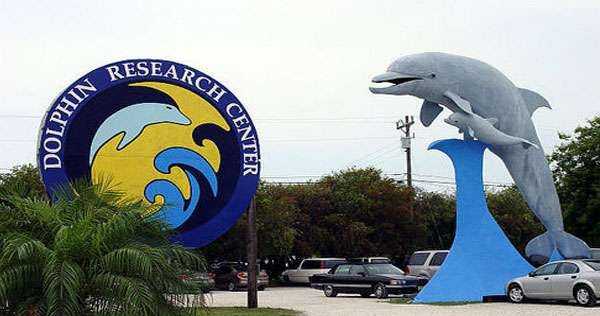 Good Morning Good Knowledge | Asia