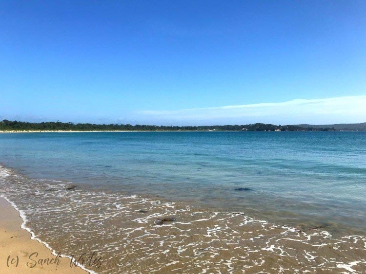 Goodbye Summer - Sanch Writes