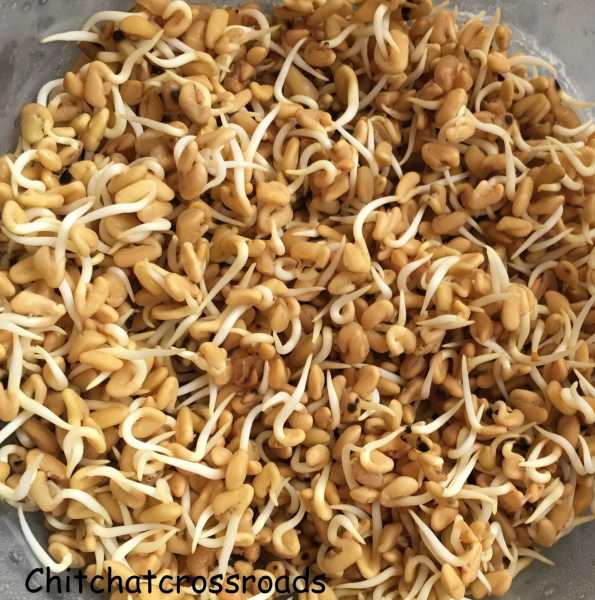 Goodness Of Methi Seeds