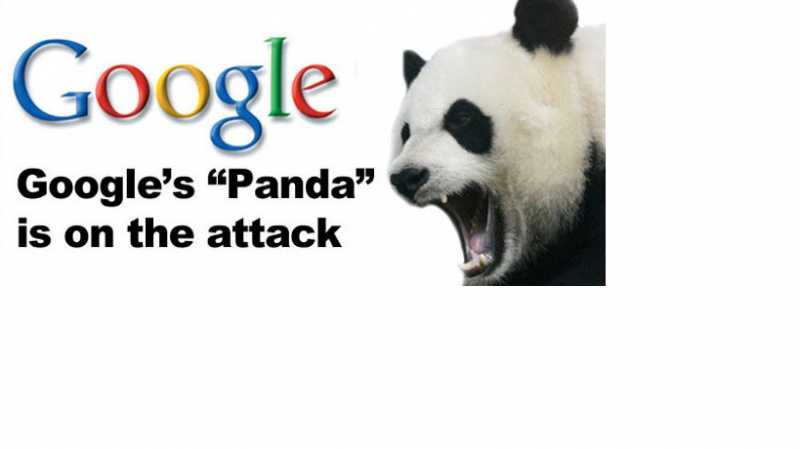 Google Panda 4.0 Roll Out On May 20th 2014