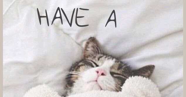 Got A Sunday?Yawn & Protect It