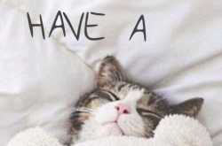 Got A Sunday?Yawn & Protect It