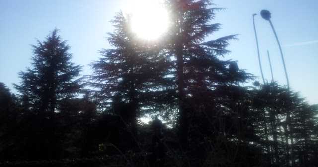 Government And Armed Forces