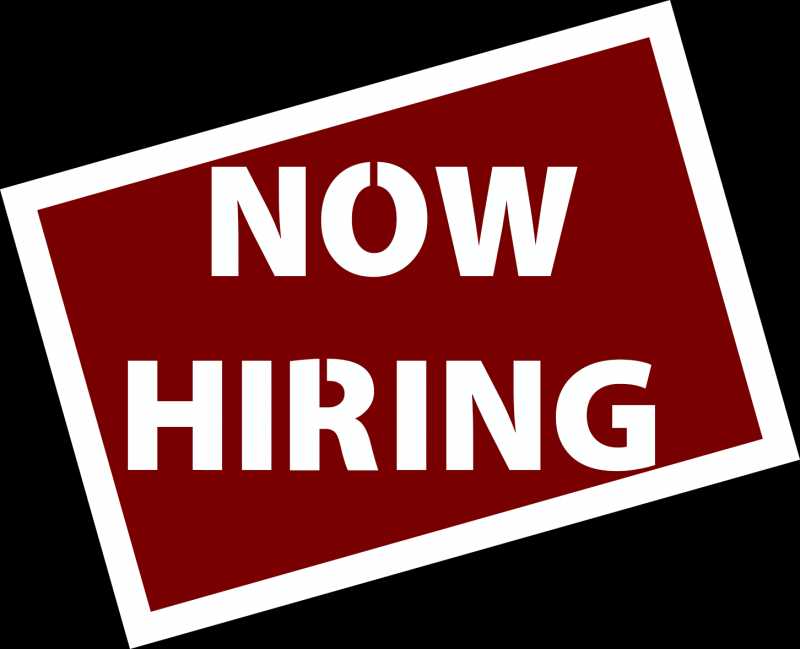 Graphic Designer / Animator Required (Preferably Freshers): Urgent