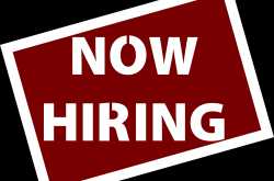 Graphic Designer / Animator Required (Preferably Freshers): Urgent