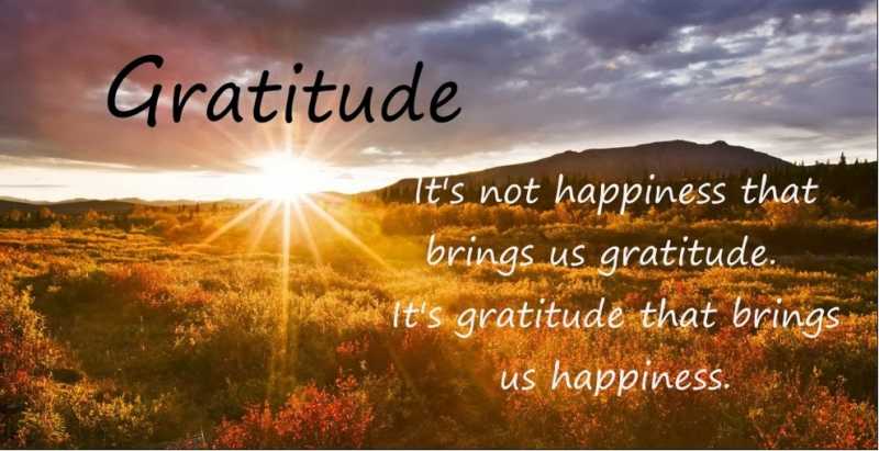 Gratitude