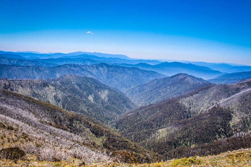 Great Alpine Road Trip – The Explorers Way