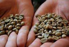 Green Coffee: Weight-Loss Hope Or Hype?