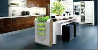 Green Kitchen: Tips For Going Green In The Kitchen (Green Living) - A Web Blog About Product Review, Blogging Tips, IT Technology Internet Tech Reviews