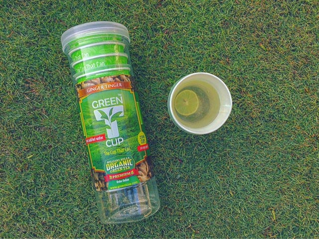 Green T Cup | Best Find Of 2016!