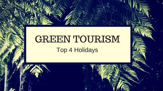 Green Tourism Ideas - Sustainable Holidays | Wandering Cerebrations