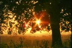 Greeting the New Year