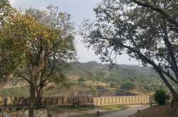 Grey, Sepia and Solitude