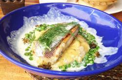 Grilled Fish with Buttered Carrot Puree & Peas 