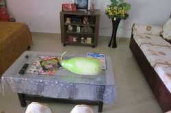 Grow our own Veggies