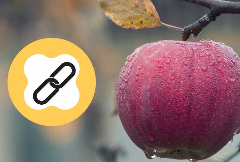 Guide To Building Natural Backlinks For Your Blog - LoveUMarketing