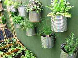 Guidelines For Setting Up A Terrace Garden At Your Home