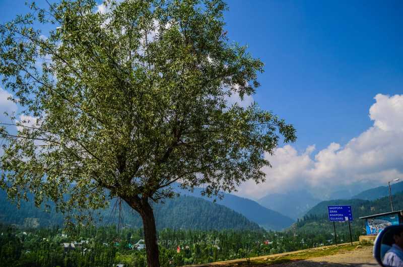 Gulmarg, Jammu & Kashmir, India - 16.07.2017