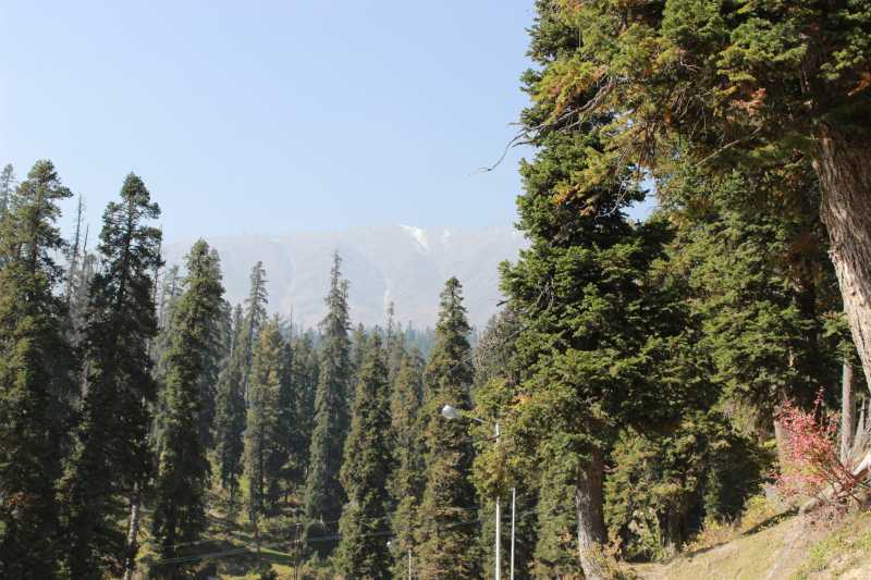 Gulmarg - Just Pictures