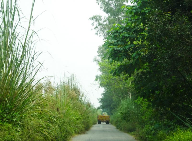 Gurdaspur - Explore Rural Punjab Village With The Kothi