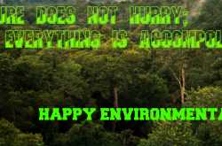 HAPPY ENVIRONMENTAL DAY