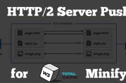 HTTP2 Server Push for W3 Total Cache Minify plugin - Best 2 Know