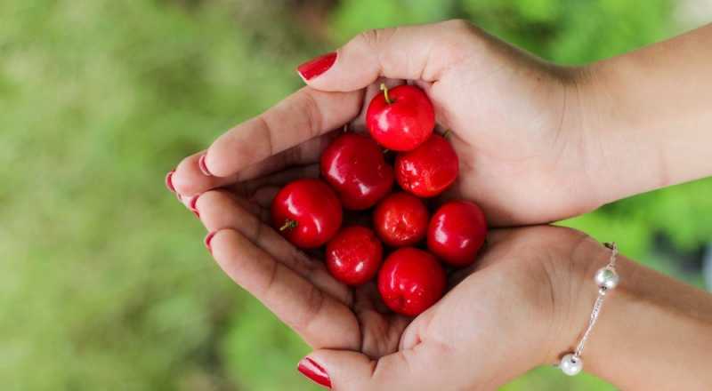 Had A Fabulous Holi Party? Now Check This 10-Step Post Holi Detox Guide...