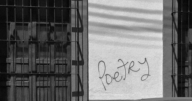 Haiku- What Poetry Means To Me