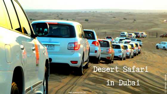 Half A Day Well-Spent At Desert Safari In Dubai #MyFriendAlexa - Samarpita Mukherjee Sharma