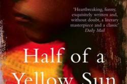 Half Of A Yellow Sun