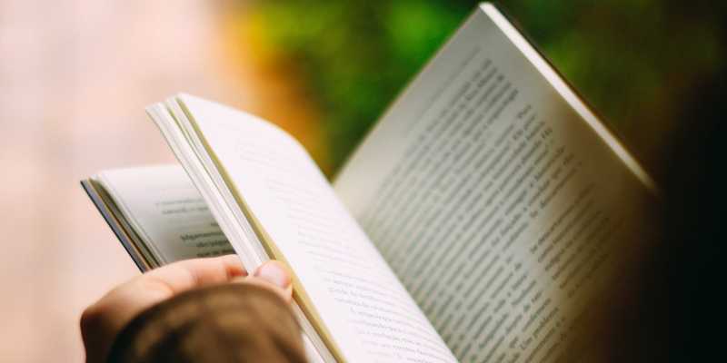 Half Year Wrap-Up - My Favorite Books Of 2019 So Far