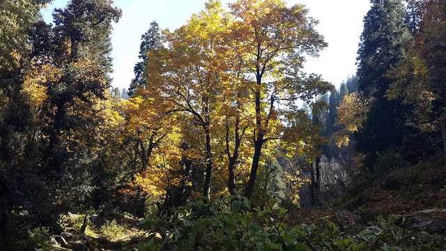 Hamta Pass Trek Manali