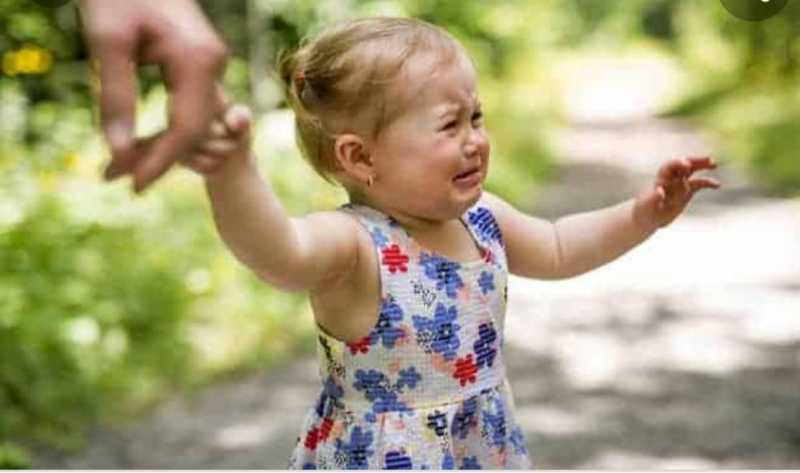Handling Toddler Tantrums : Aggression And Sensitivity