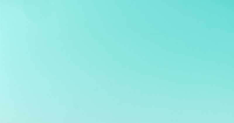 Hannah And The Hollow Tree