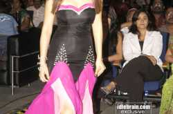 Hansika Motwani - Santosham Awards 2008 (D )