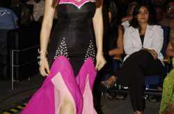 Hansika Motwani Santosham Film Awards Hot Pics