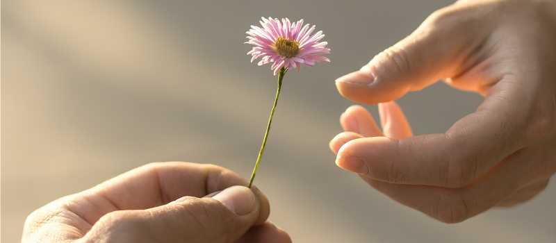 Happiness - A State Of Mind