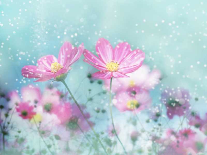 Happiness Is In This Very Moment