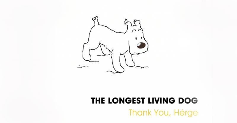 Happy 111th To Hergé - Zero Budget Agency