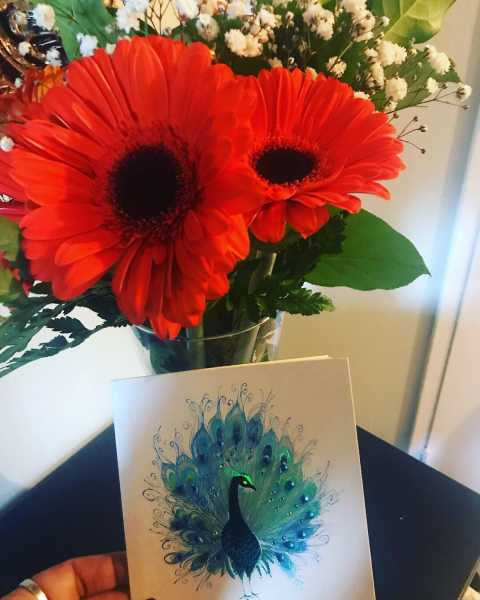 Happy Anniversary, Mr. S.