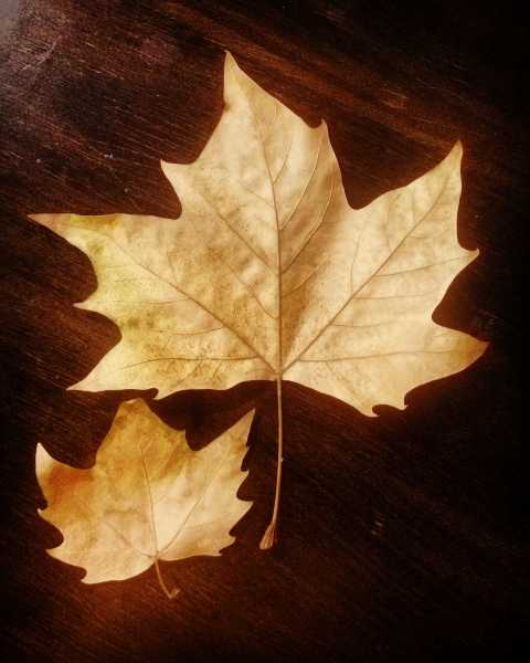 Happy Mother’s Day