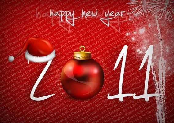 Happy New Year 2011  !!!!!!!