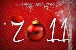 Happy New Year 2011  !!!!!!!